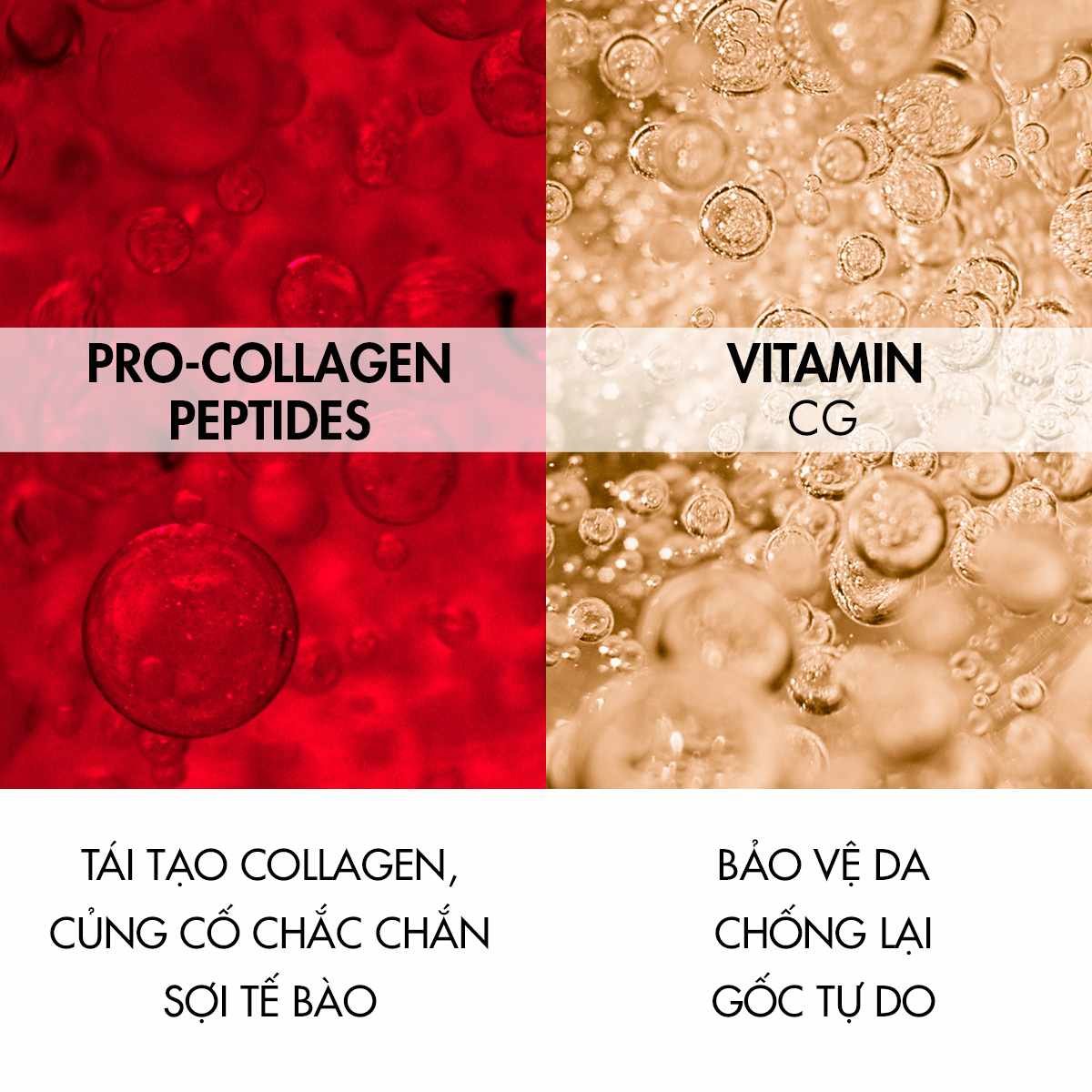 collagen-specialist-night-cream-pack4