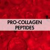 PRO-COLLAGEN PEPTIDES